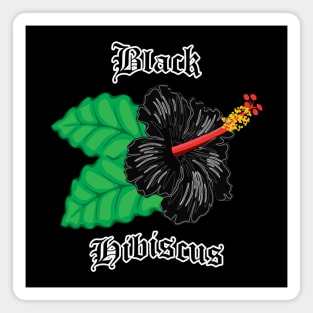 Black Hibiscus – Gothic flower Magnet